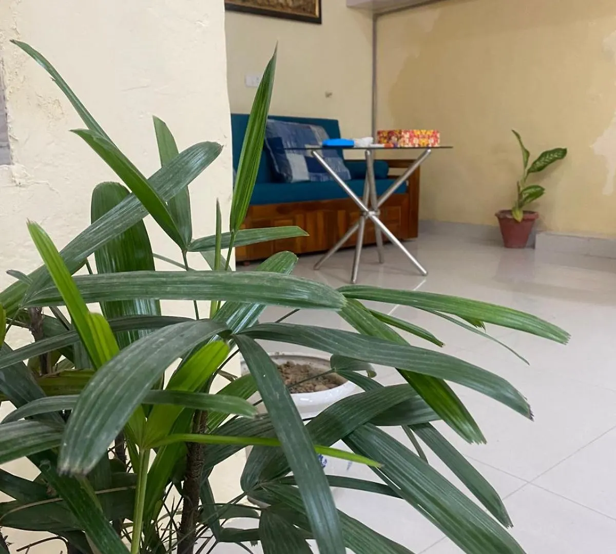 Ideal Hotel In Posh Vasant Vihar Big 1110 Sq Ft New Delhi